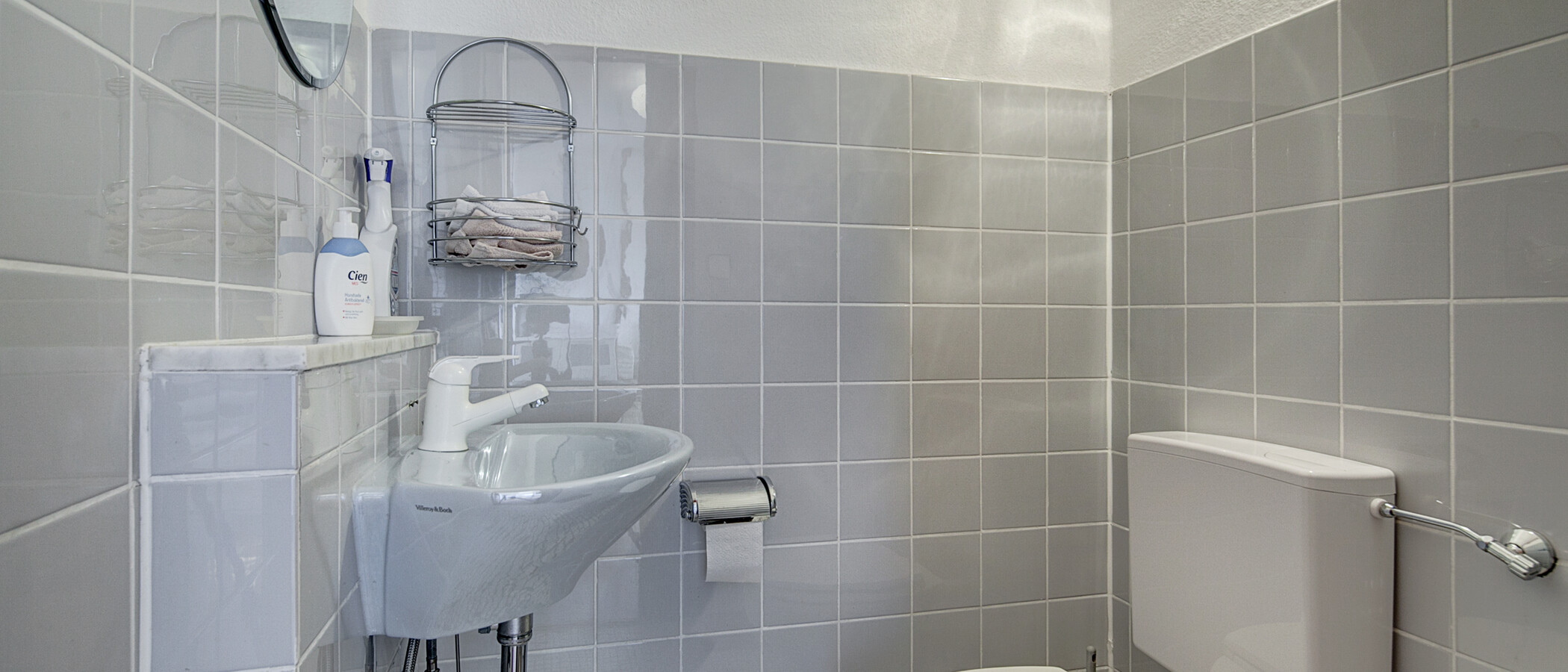 roof terrace apartment München Maxvorstadt 01 guest toilet 255