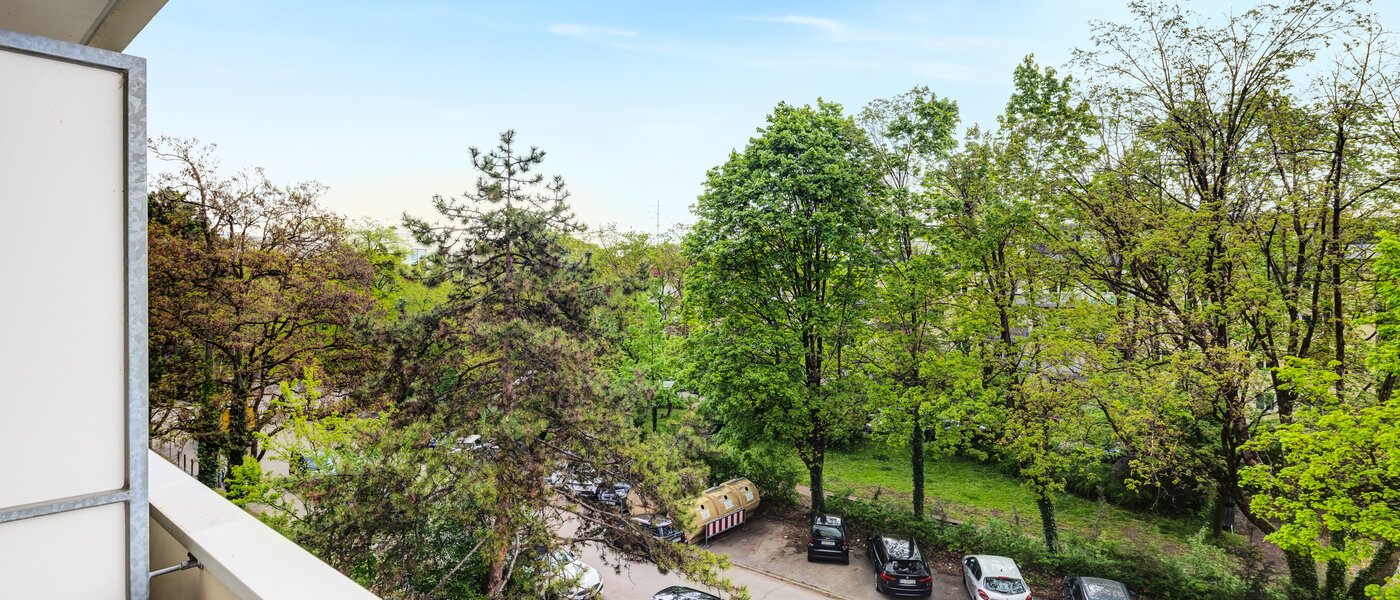 apartment München Schwabing-Nord (zw. Belgrad- & Leopoldstraße) 01 view 2635