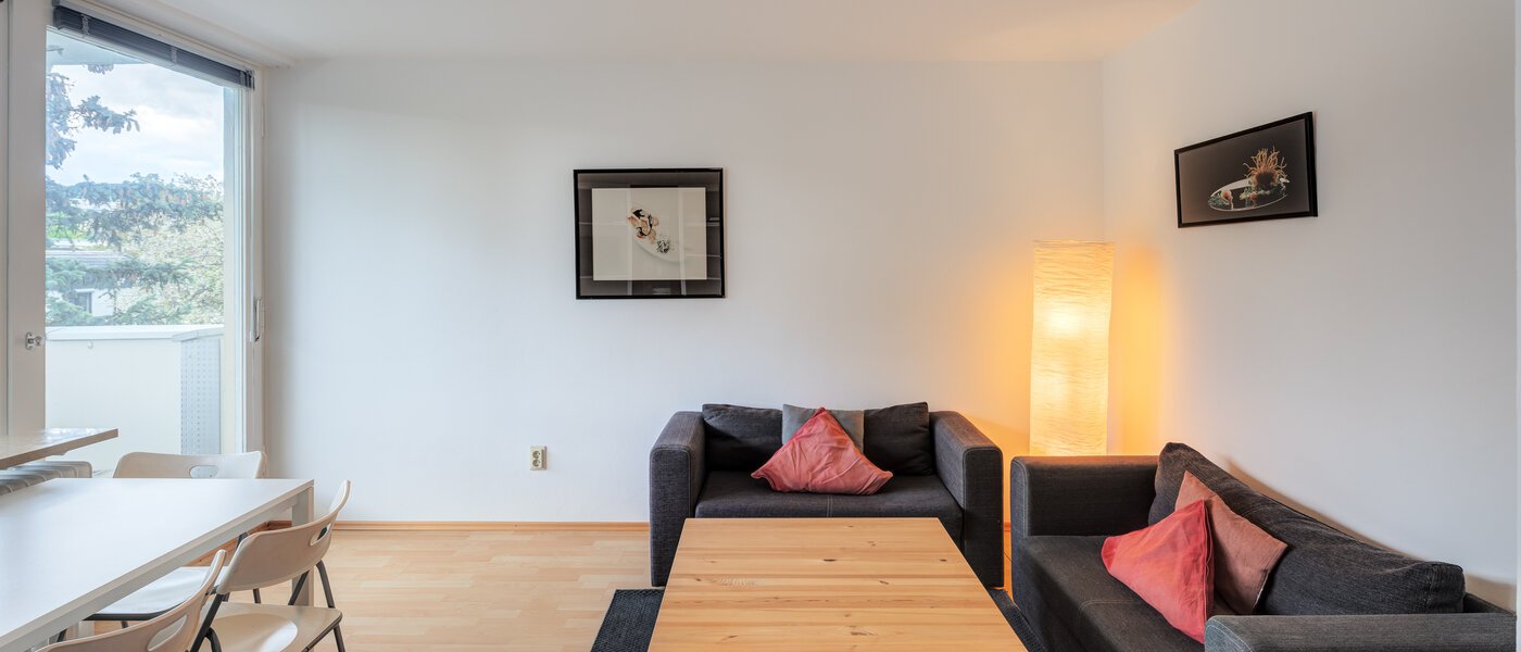 apartment München Schwabing-Nord (zw. Belgrad- & Leopoldstraße) 02 living room 2635