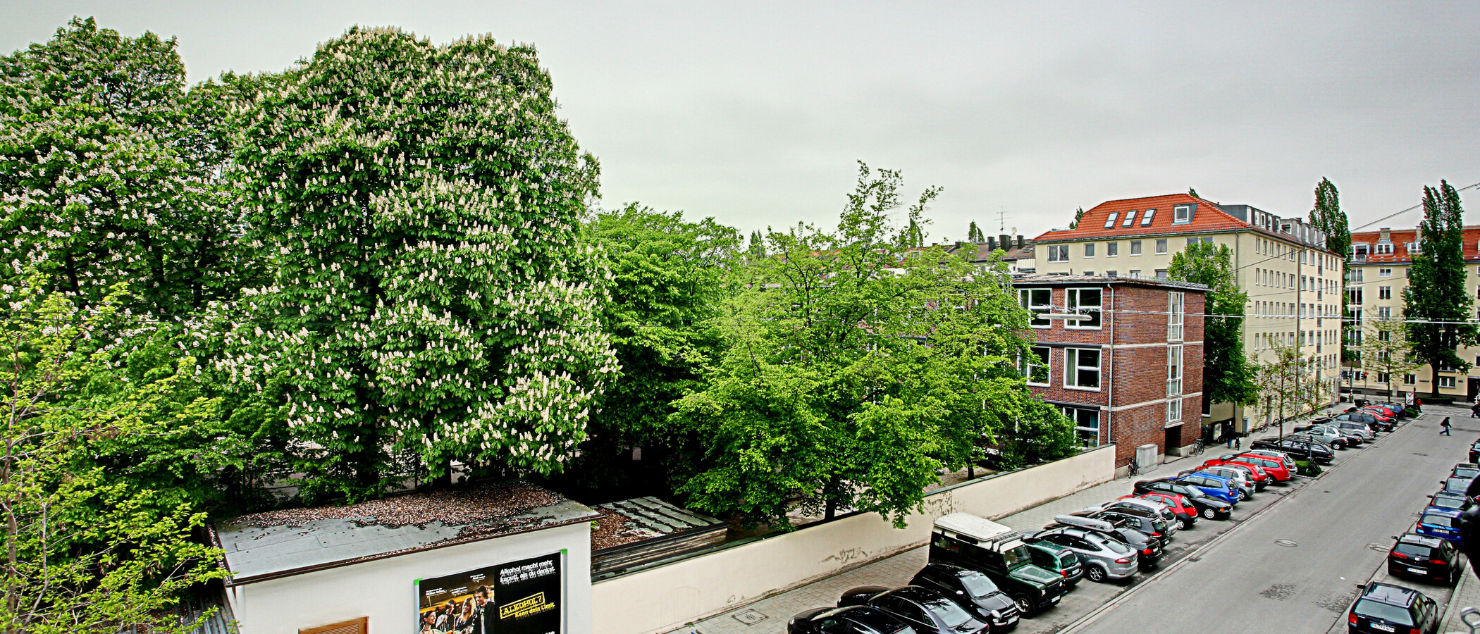 studio München Schwabing (links der Leopoldstraße) 01 view 2684