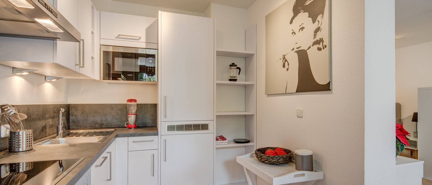 apartment München Herzogpark 02 kitchen 297