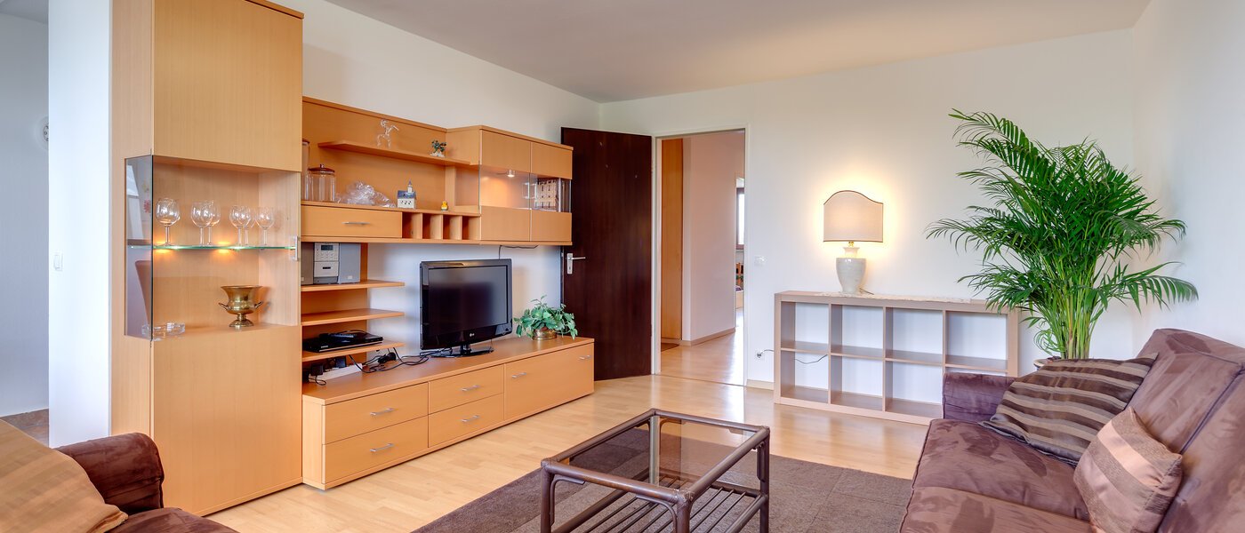 apartment München Haidhausen 03 living room 2973