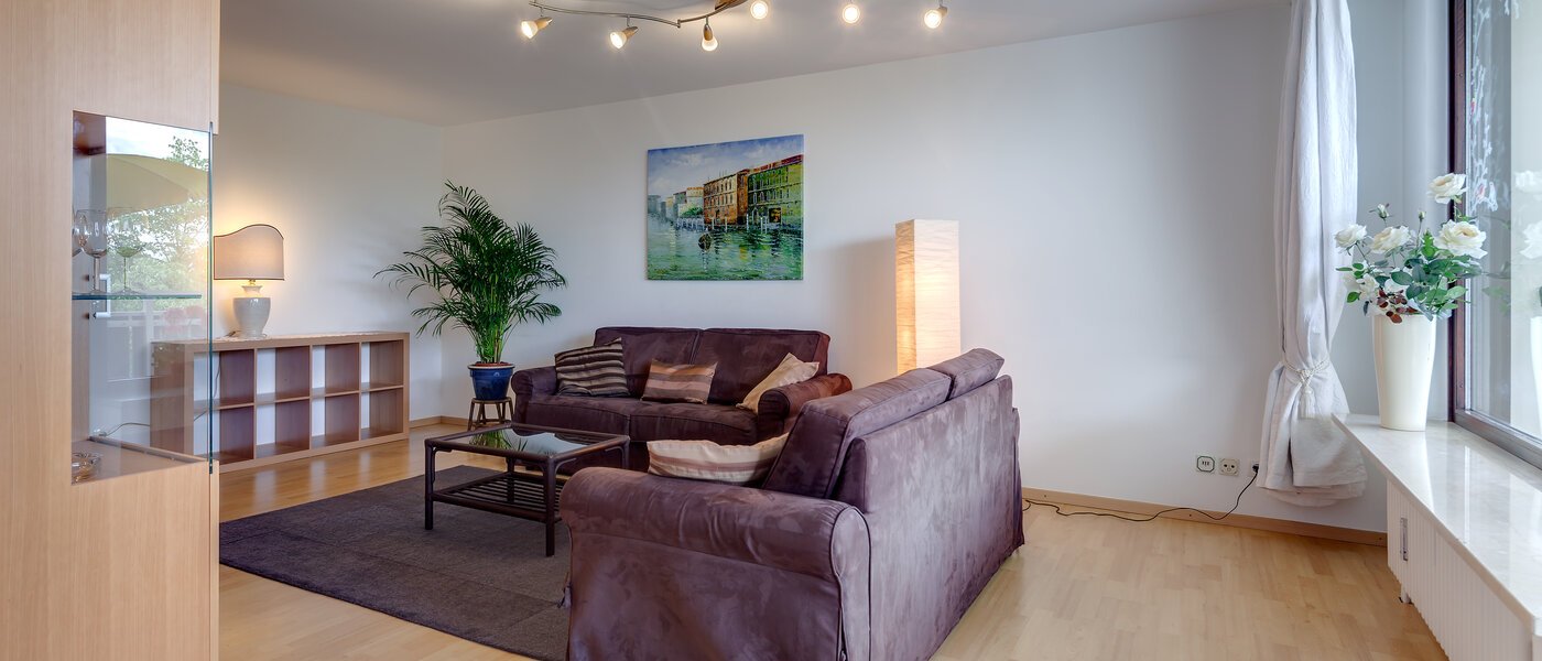 apartment München Haidhausen 04 living room 2973