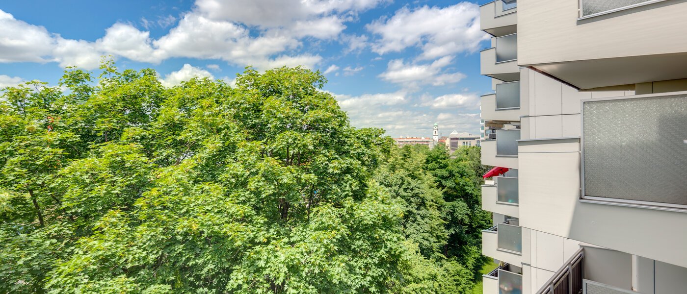 apartment München Haidhausen 02 view 2973