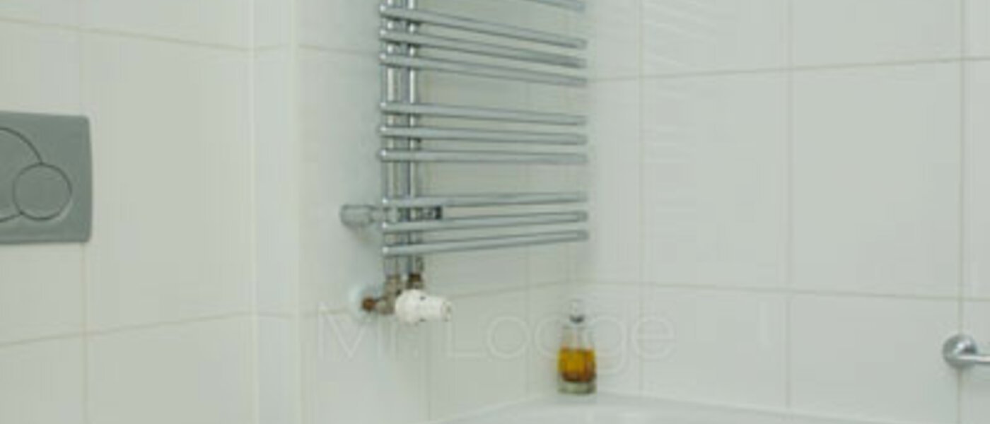 apartment München Trudering 04 bathroom 2988