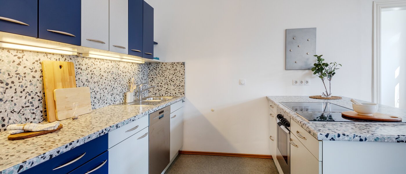 apartment München Haidhausen 03 kitchen 308