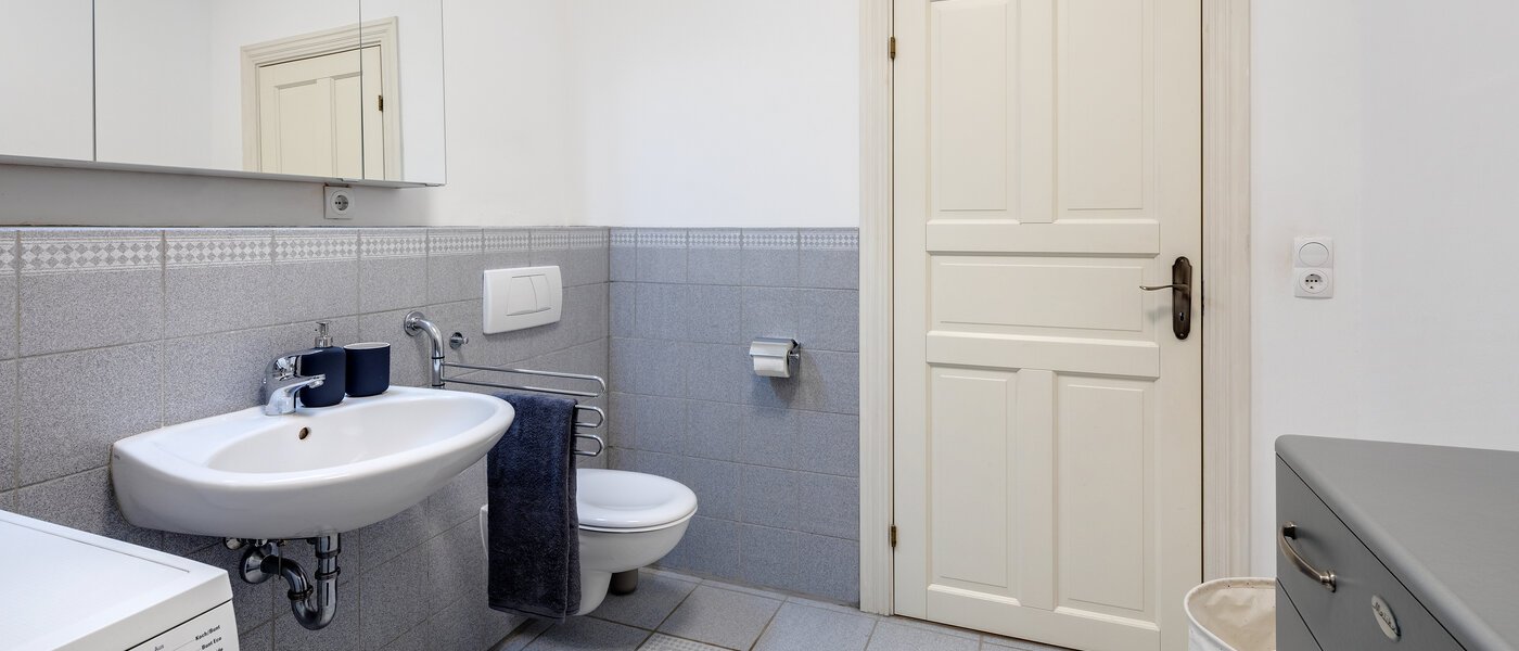 apartment München Haidhausen 03 bathroom 308