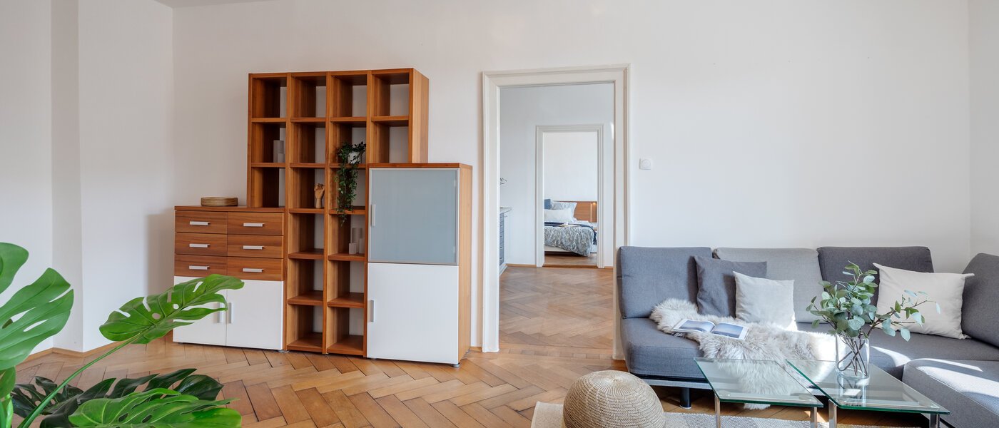 apartment München Haidhausen 02 living room 308