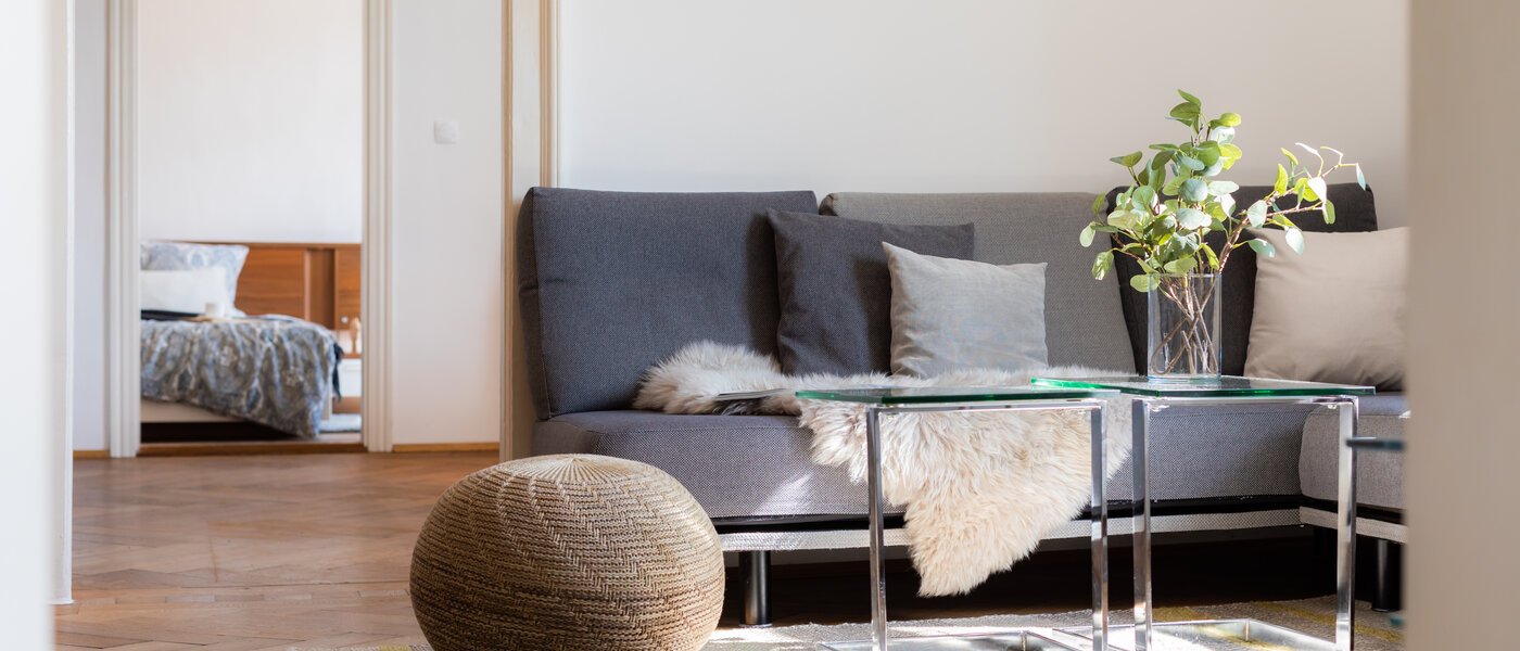 apartment München Haidhausen 03 living room 308