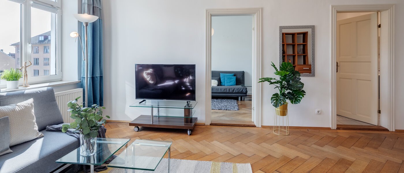 apartment München Haidhausen 05 living room 308