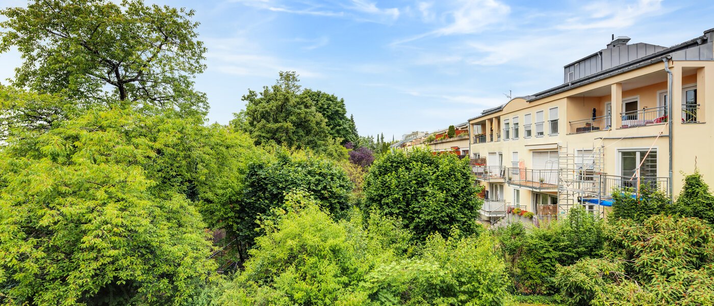 apartment München Harlaching 01 view 3096