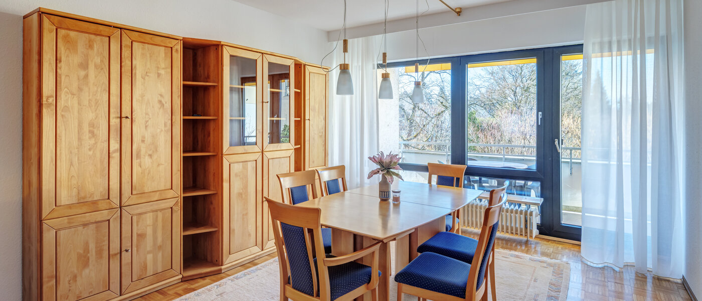 apartment München Harlaching 01 living room 3096