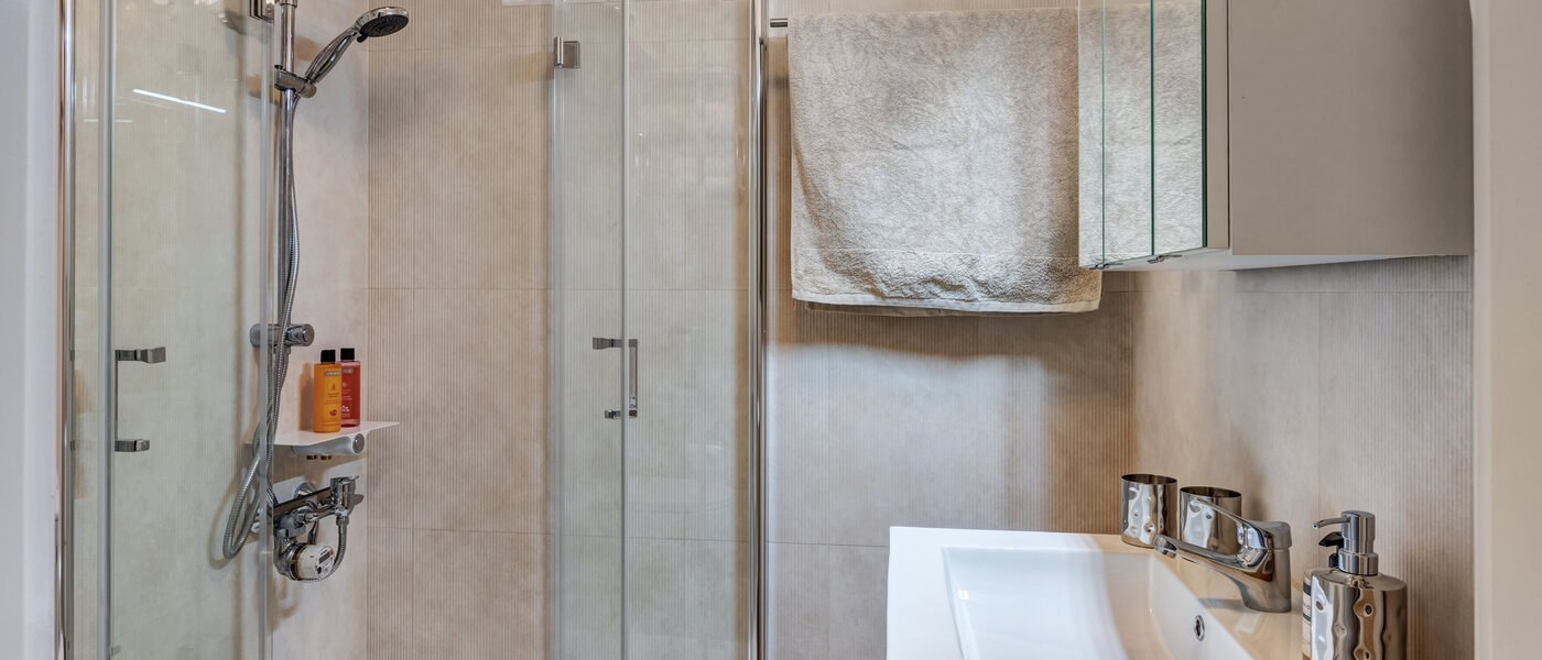 apartment München Schwabing (links der Leopoldstraße) 01 bathroom 3177