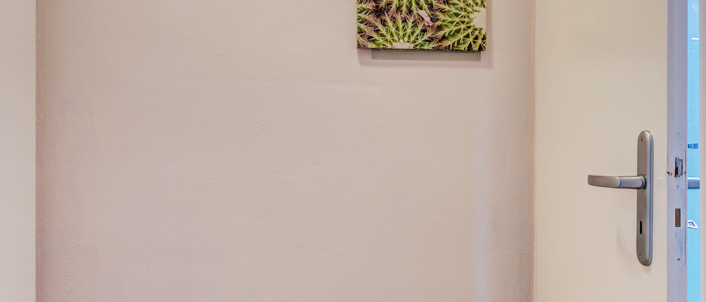 apartment München Schwabing (links der Leopoldstraße) 02 hall 3177