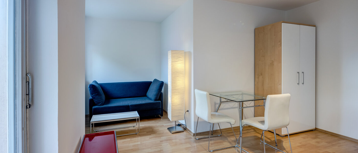 apartment München Untergiesing 01 living area 3185