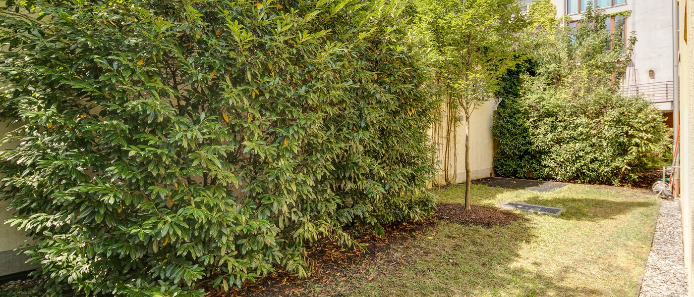 semi-detached house München Schwabing (links der Leopoldstraße) 02 garden 3396