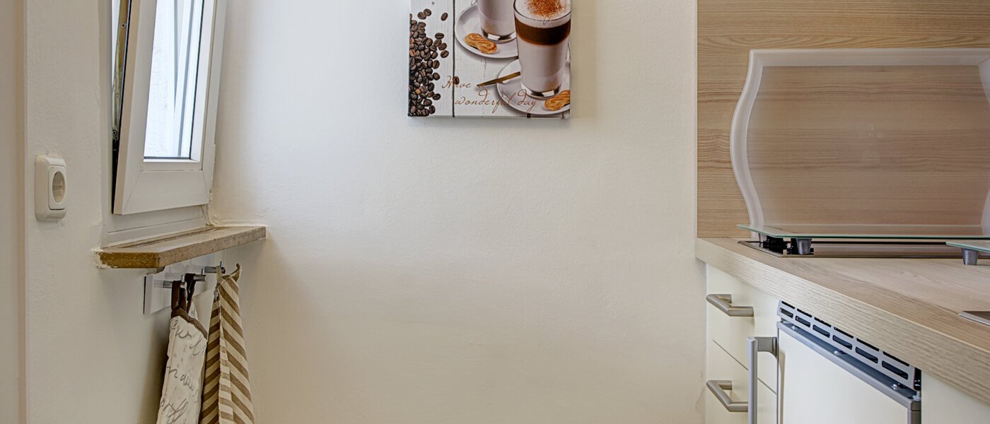 apartment München Maxvorstadt - Universitätsviertel 03 kitchen 3687