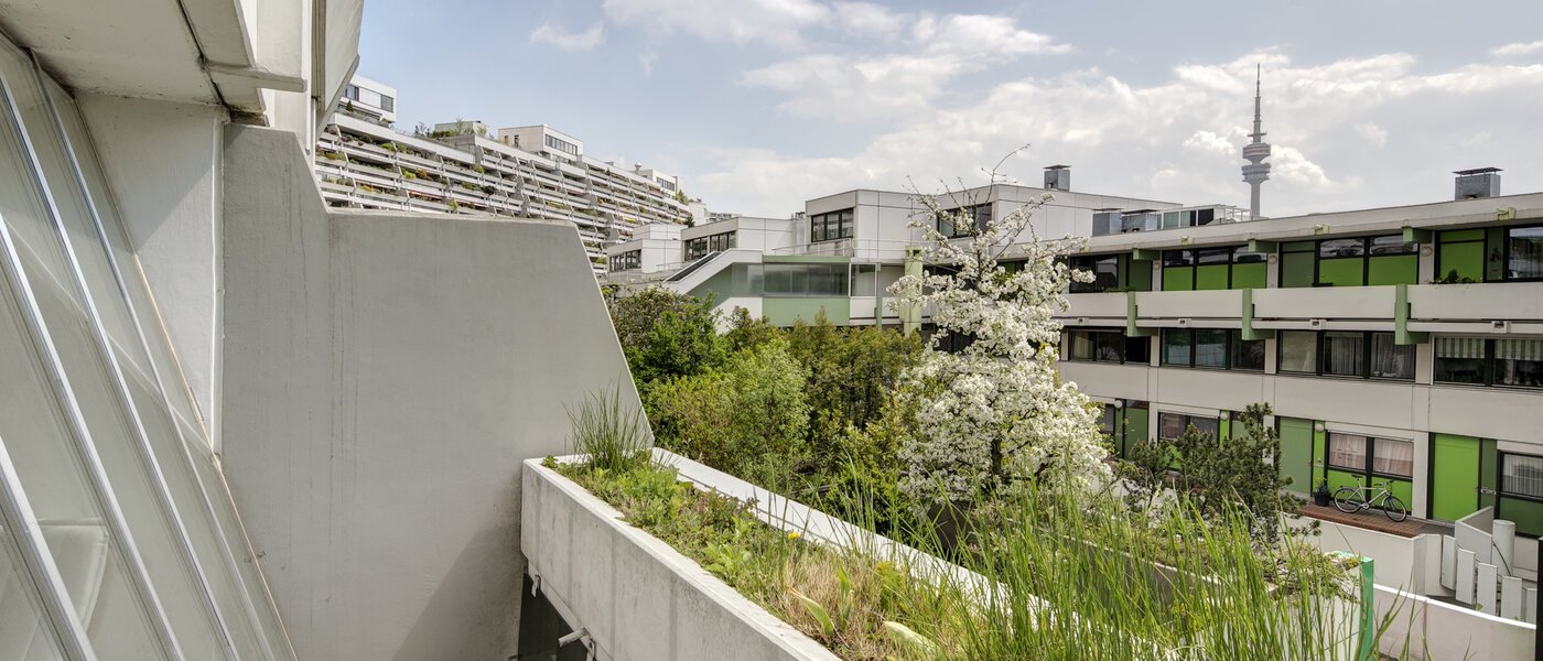 apartment München Olympiadorf 02 view 3688