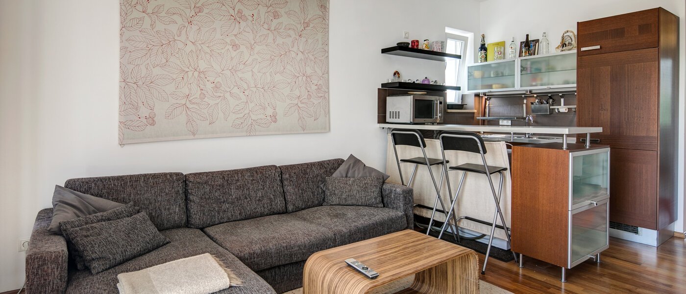 apartment München Hadern 01 living room 3824