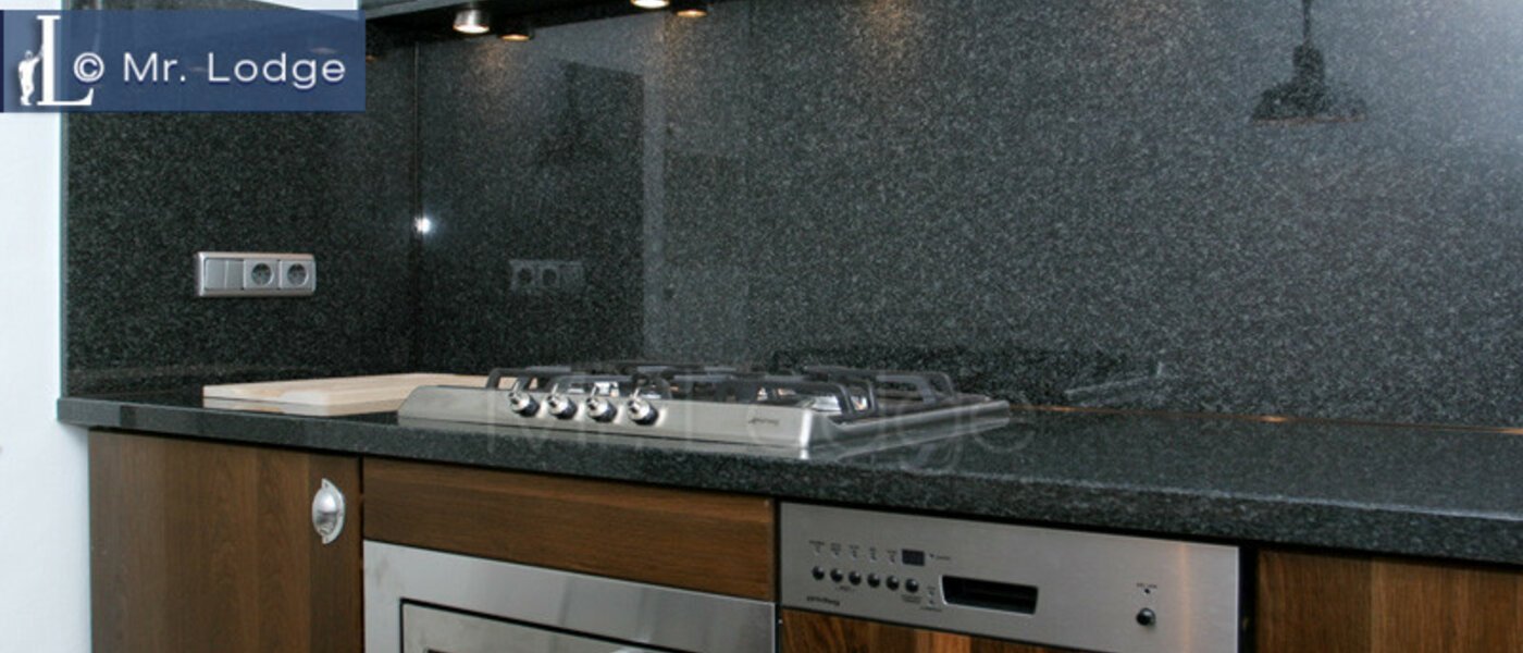 apartment München Maxvorstadt - Museumsviertel 02 kitchen 3843