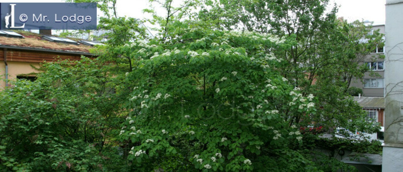 apartment München Maxvorstadt - Museumsviertel 05 view 3843