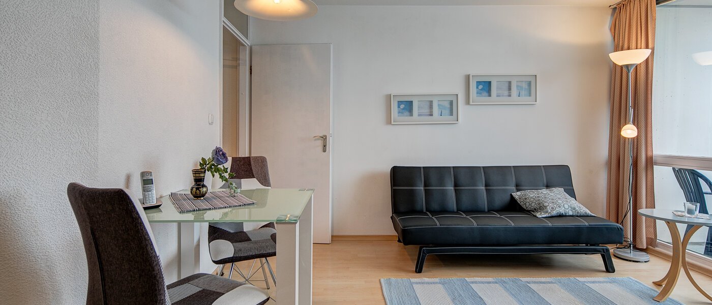 apartment München Obersendling 01 living room 3847