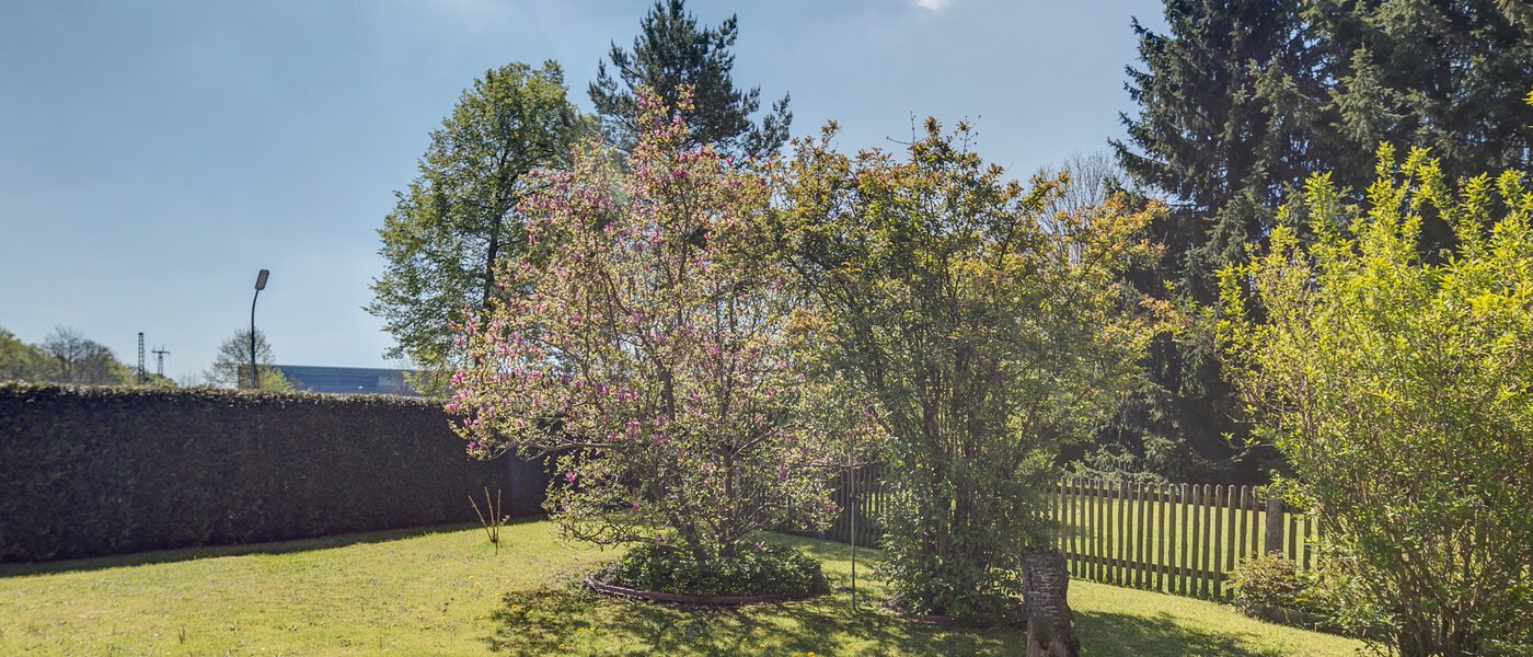 apartment München Moosach 01 garden 402