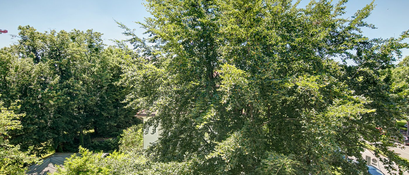 studio München Schwabing-Nord (zw. Leopoldstraße & Englischen Garten) 01 view 4089