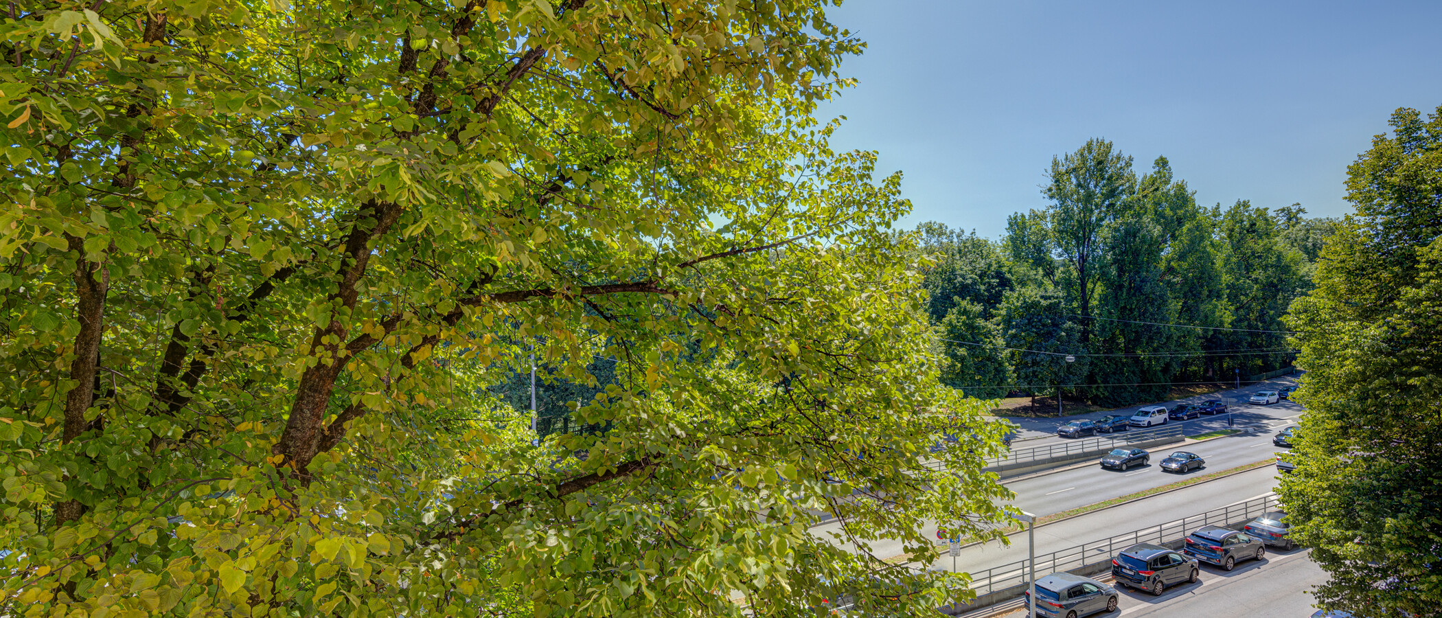 apartment München Lehel 01 view 4093