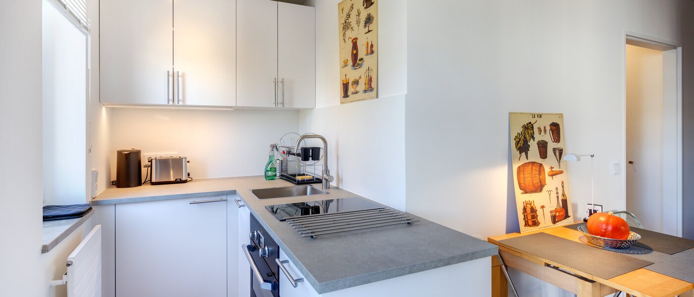 apartment München Schwabing-West 01 kitchen 4159