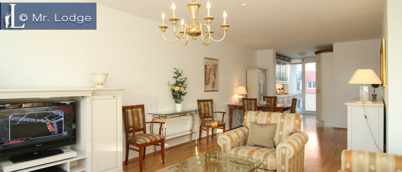 apartment München Parkstadt Schwabing 03 living room 4318