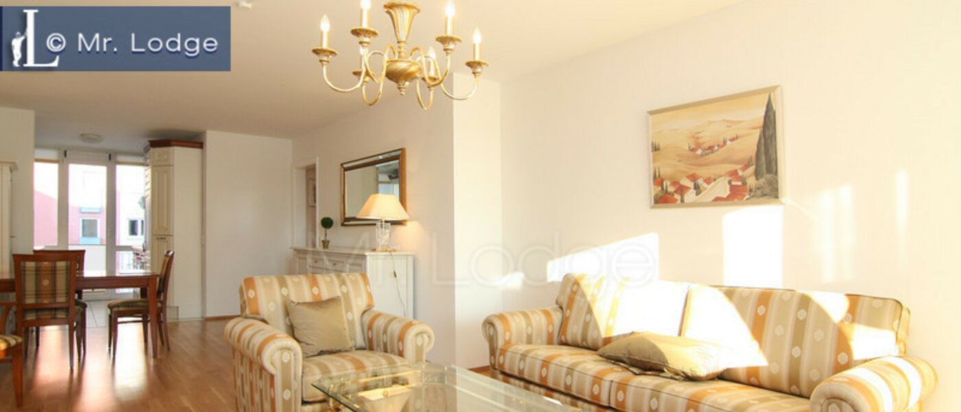 apartment München Parkstadt Schwabing 04 living room 4318