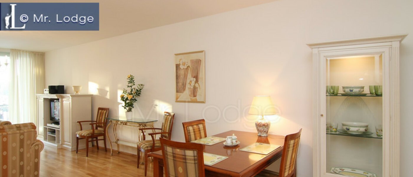 apartment München Parkstadt Schwabing 06 living room 4318