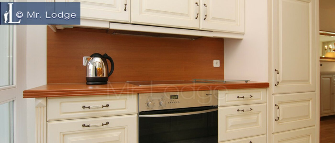 apartment München Parkstadt Schwabing 03 kitchen 4318