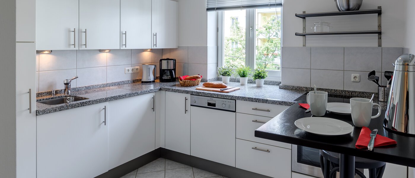 apartment München Maxvorstadt - Museumsviertel 01 kitchen 4344