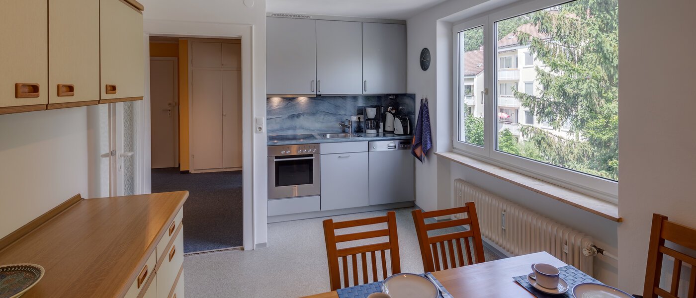 apartment München Giesing 01 kitchen 4372