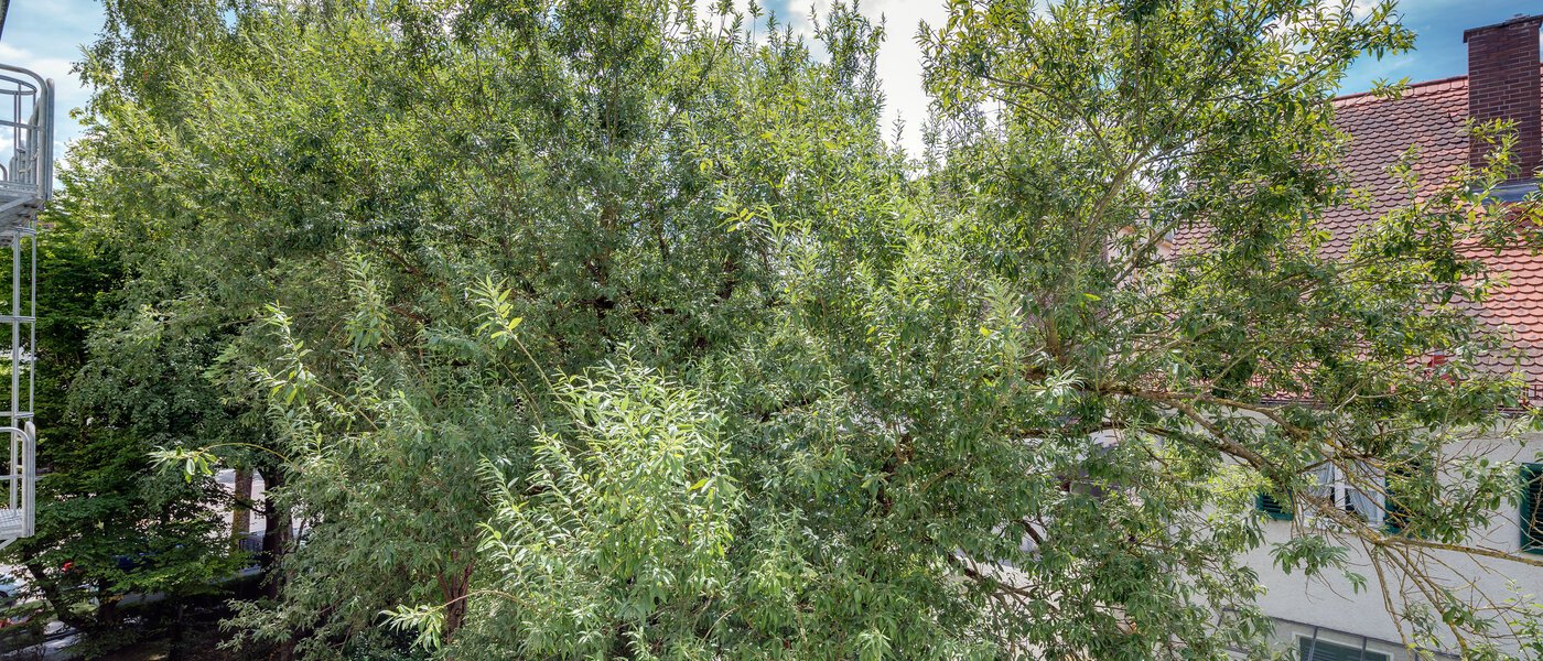 apartment München Giesing 02 view 4372