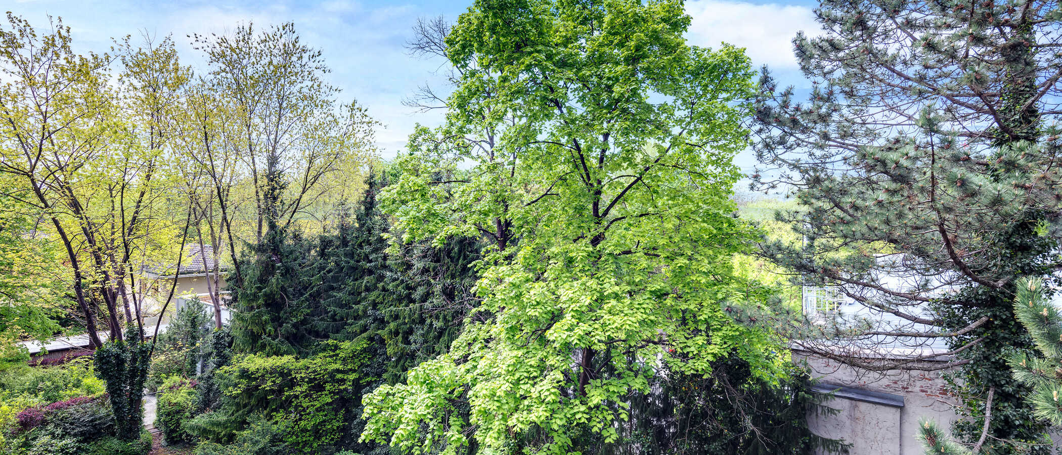 apartment München Schwabing-Nord (zw. Leopoldstraße & Englischen Garten) 01 view 4452