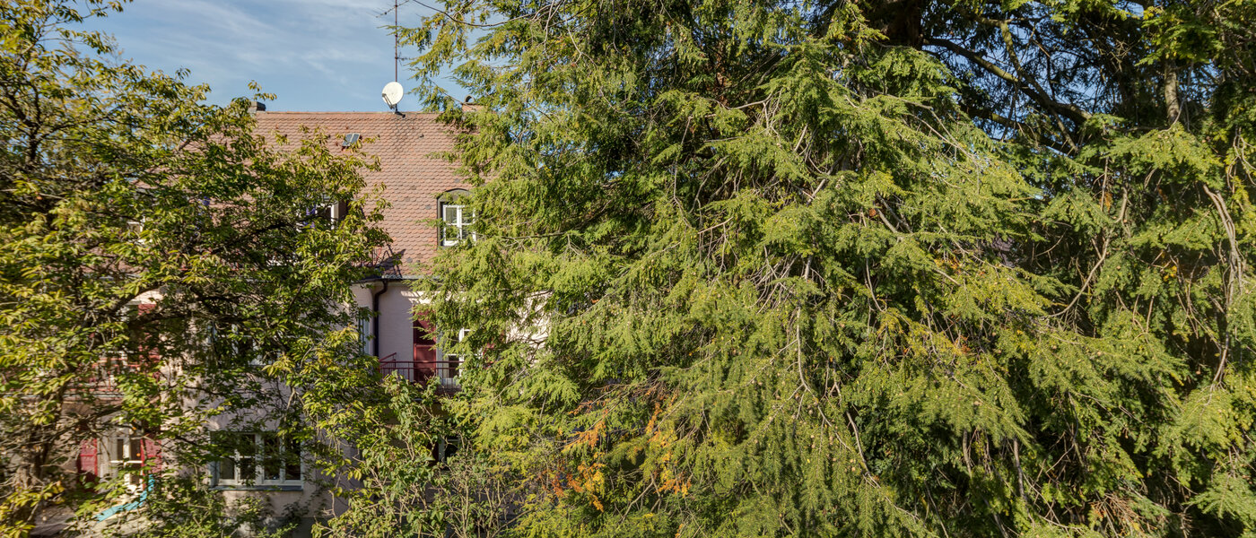 apartment München Nymphenburg-Gern 02 view 4670