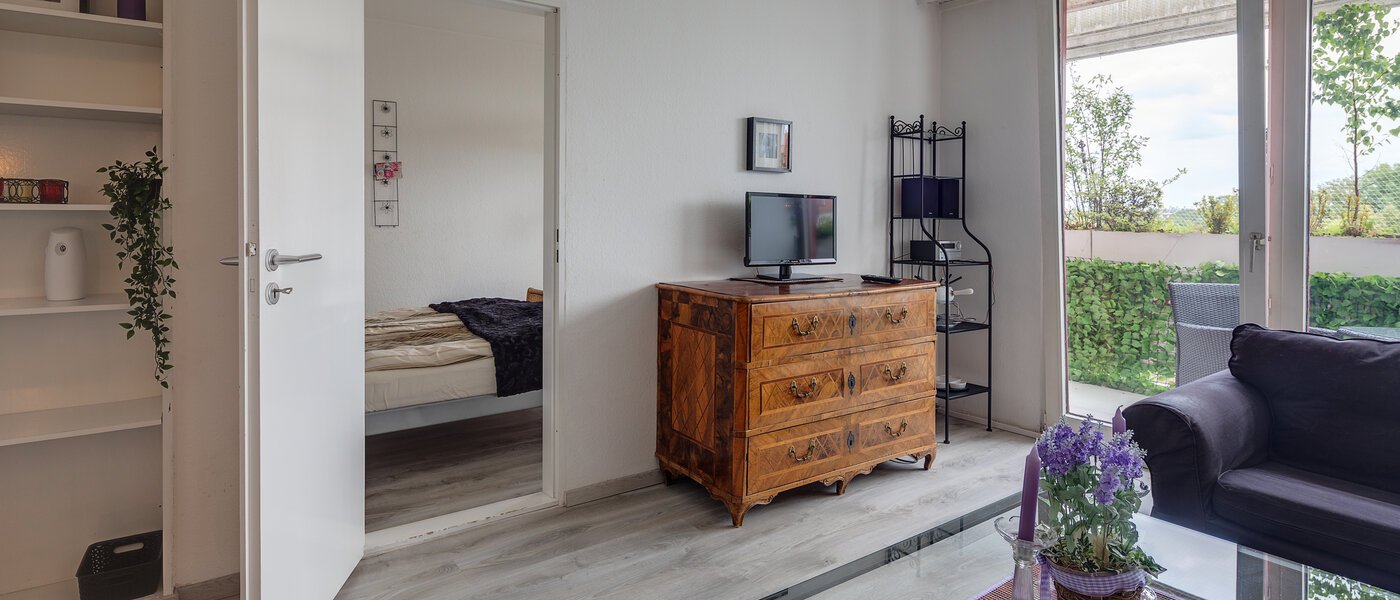 apartment München Schwabing (rechts der Leopoldstraße) 03 living room 4730