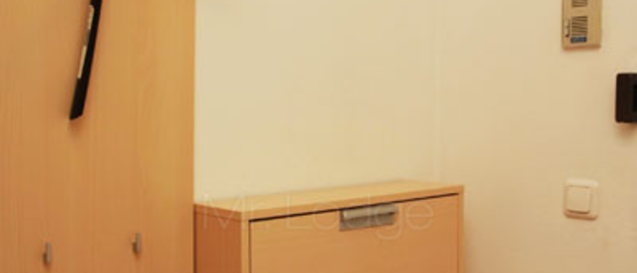 apartment München Au-Haidhausen 01 hall 4732