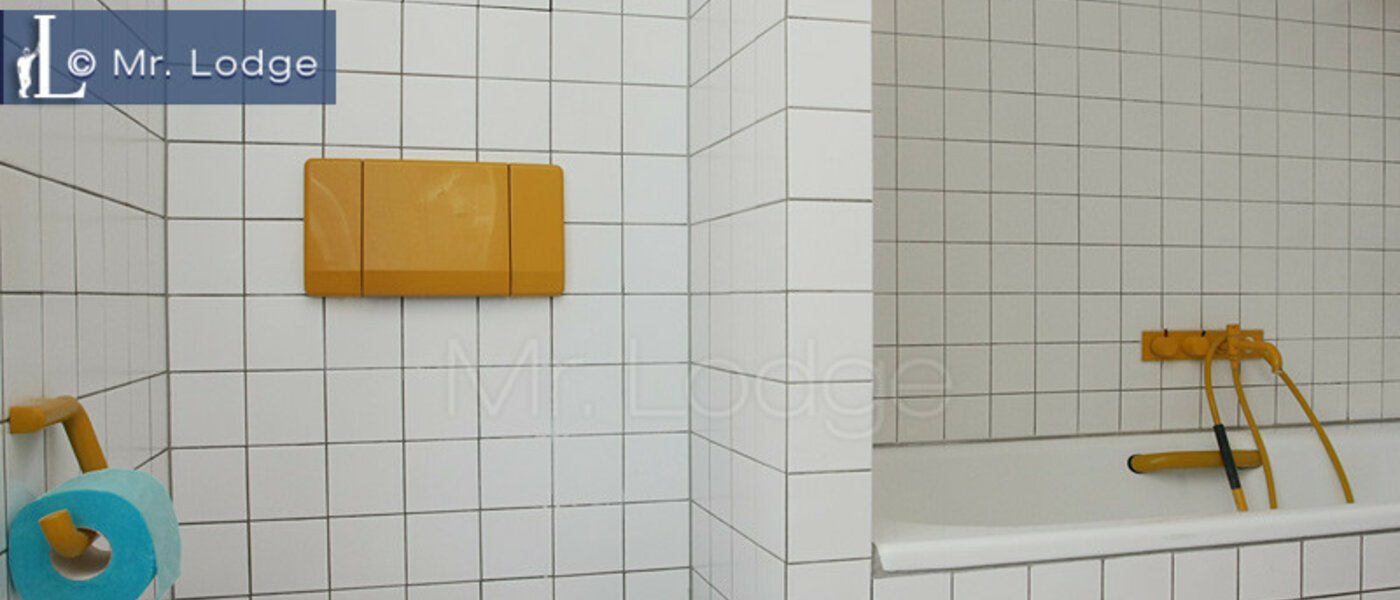 attic apartment München Maxvorstadt - Rund um den Josephplatz 03 bathroom 4768