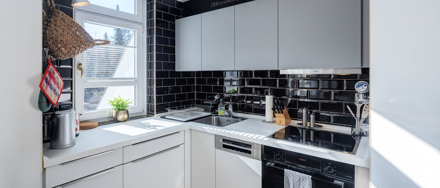 apartment München Schwabing-West (rund um den Bonner Platz) 01 kitchen 4836