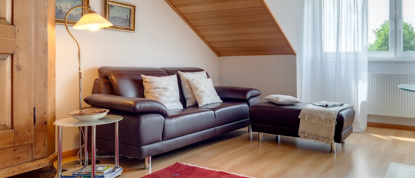 apartment München Berg am Laim 02 living room 4877