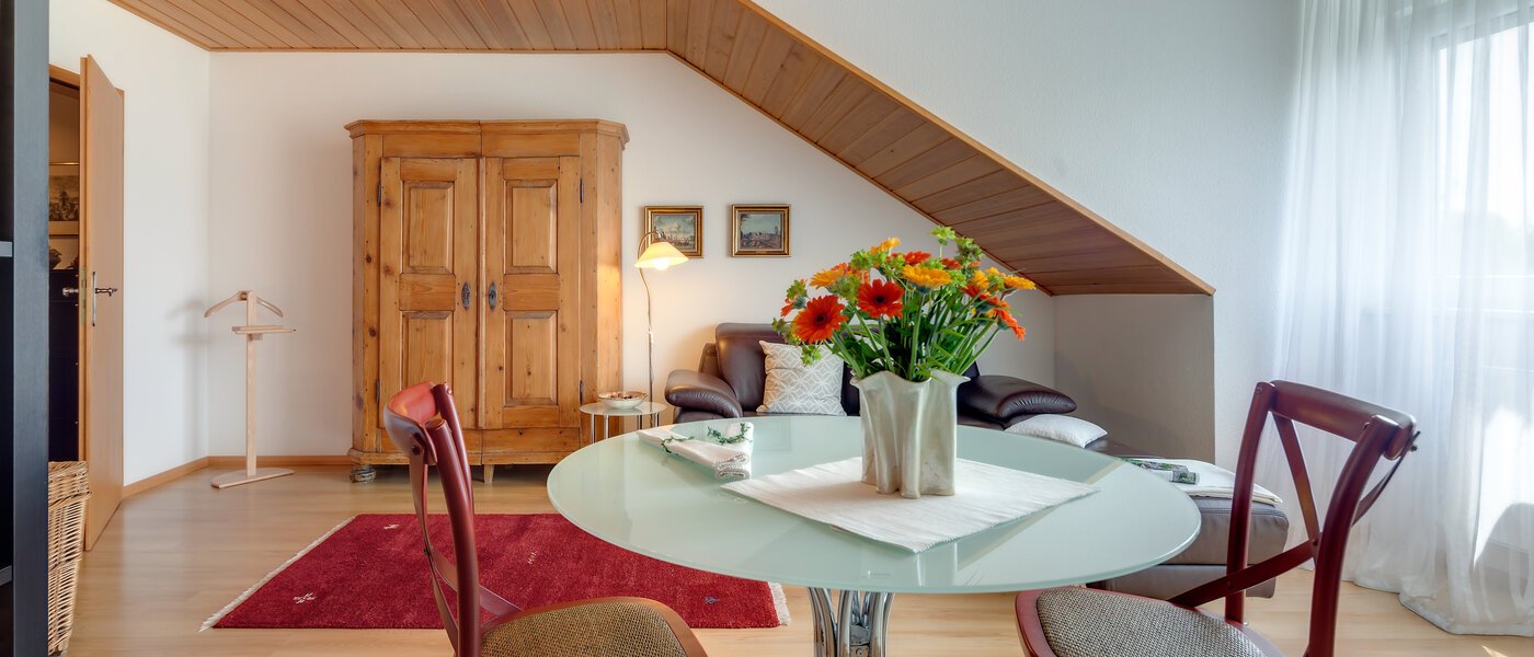 apartment München Berg am Laim 06 living room 4877