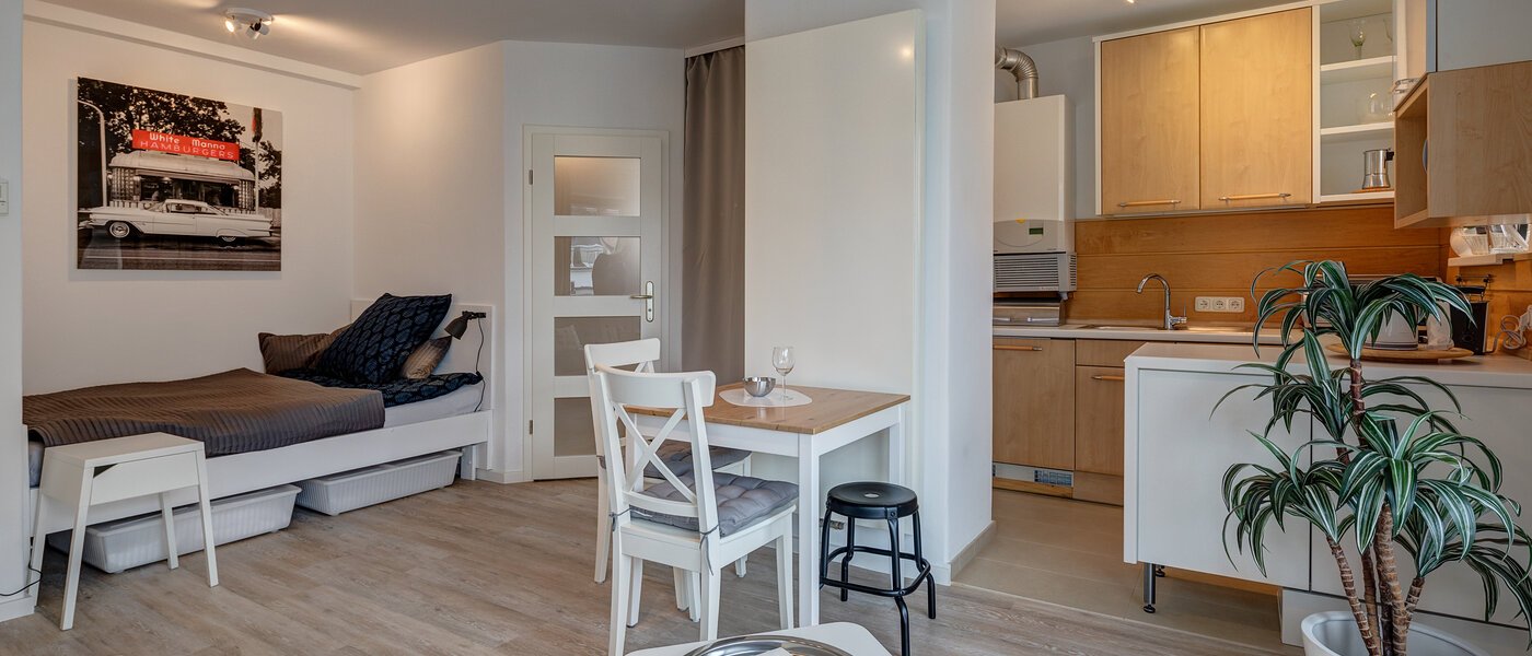 apartment München Glockenbachviertel 05 living room 4880