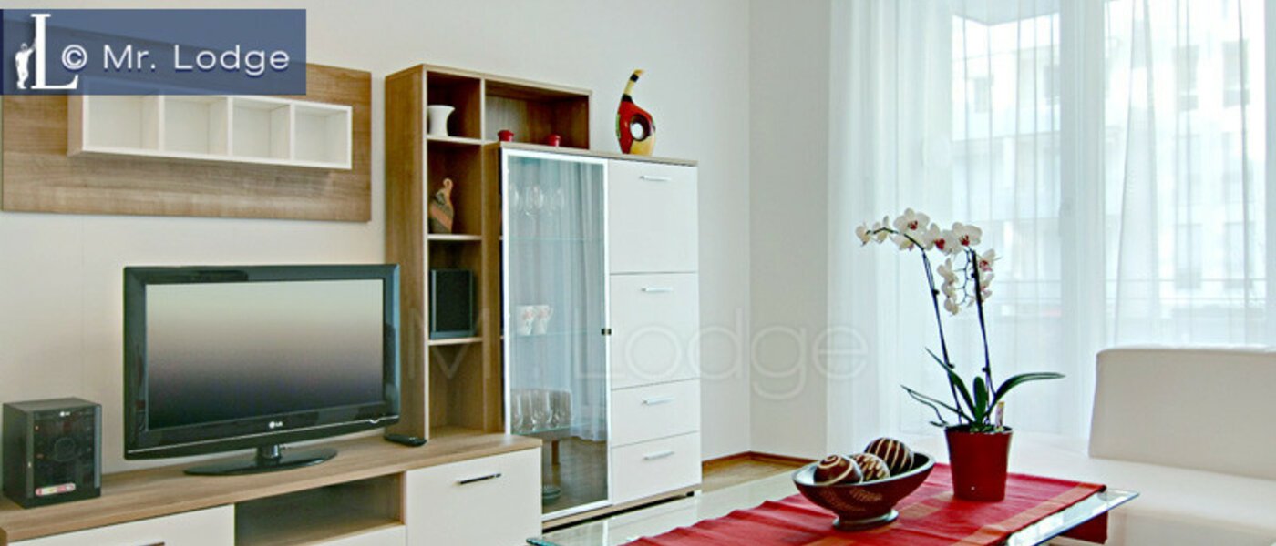 apartment München Maxvorstadt - Westen 02 living room 4883