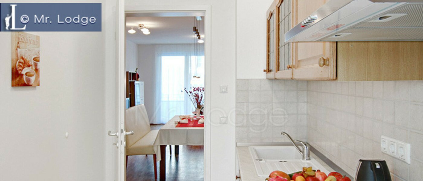 apartment München Maxvorstadt - Westen 02 kitchen 4883