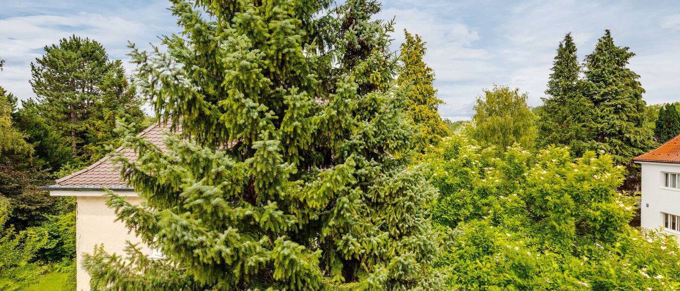 gallery apartment  München Freimann 05 view 5027