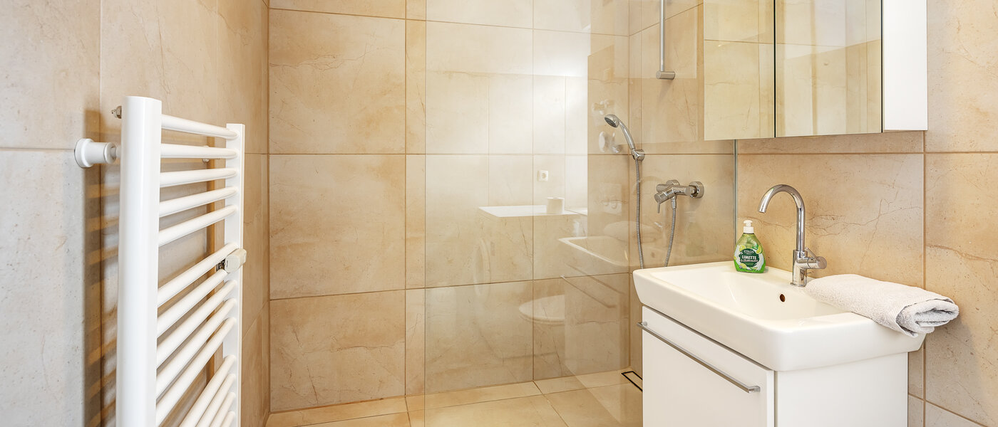 apartment München Au-Haidhausen 02 bathroom 5059